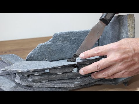 Rock Planting　Bonsai in nature