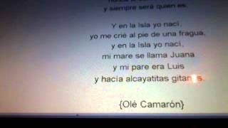 Por camarón,moral,fandangos por bulerias,por angel....
