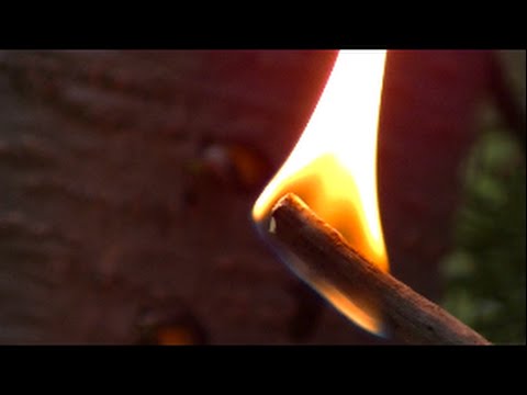Natural Firestarter
