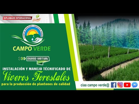 ✅ Instalación y manejo técnificado de viveros forestales para la producción de plantones de calidad