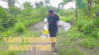 Download lagu Looking for grass mp3