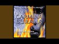 Carmina Burana: Dies nox et omnia