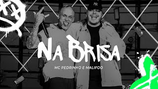 Download  Na Brisa - MC Pedrinho 