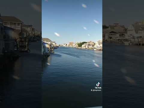 "Sometimes" | Camylio