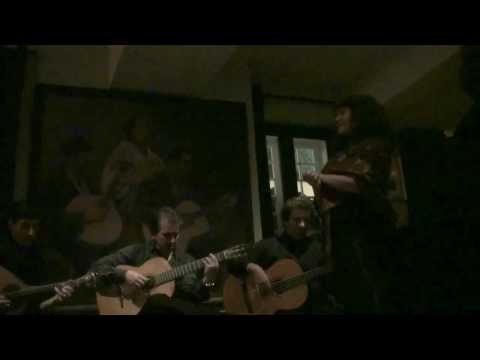 |Isabel de Noronha| "Em Tantos Fados que Canto"|Adega Machado|Fado Isabel|Adega Machado|HD|