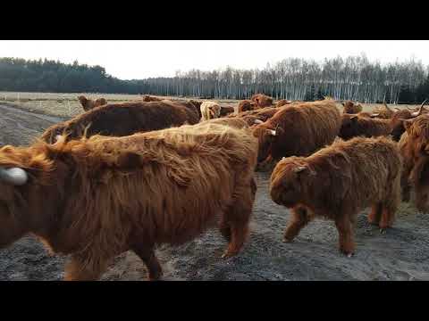 Jak zbudować mięśnie Kegel Ramię poniżej stawu łokciowego