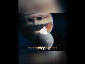 Moon Is Wake Up Credit Mr Friend Edit Short Trollface