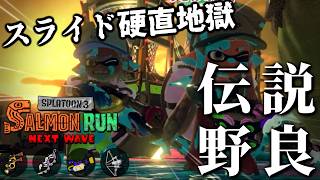 スライドしないと弱すぎるけどスライドしたら硬直がエグいブキ2つ【スプラトゥーン3/サーモンランNEXTWAVE】