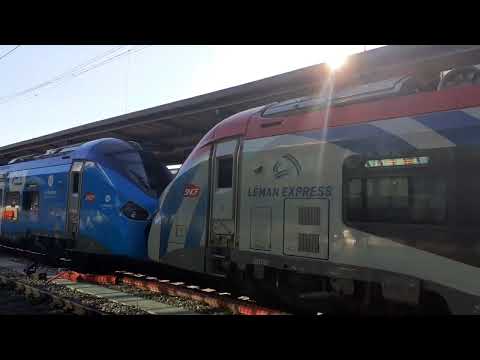 SL1 : Coppet- Évian-Les-Bains Léman Express Z31500 SNCF