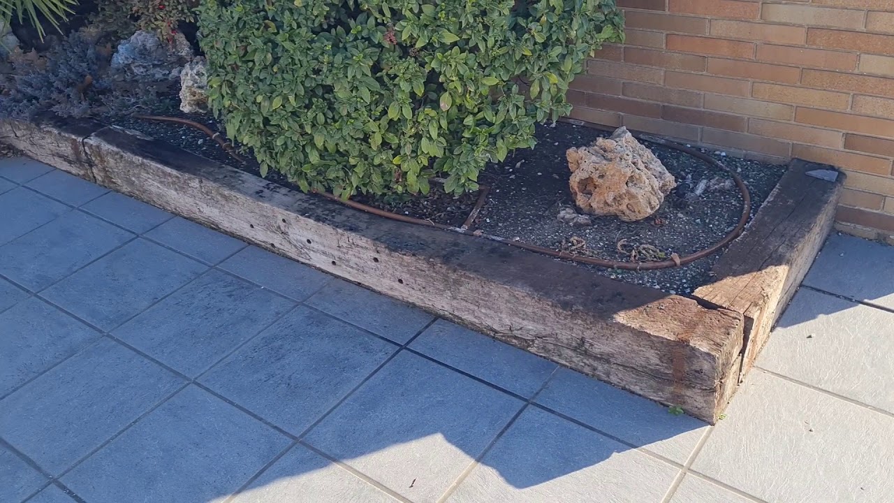 Watch Traviesas de tren jardín / Traviesa via de tren / Durmientes / Traviesa de madera Now Traviesas de tren jardín / Traviesa via de tren / Durmientes / Traviesa de madera