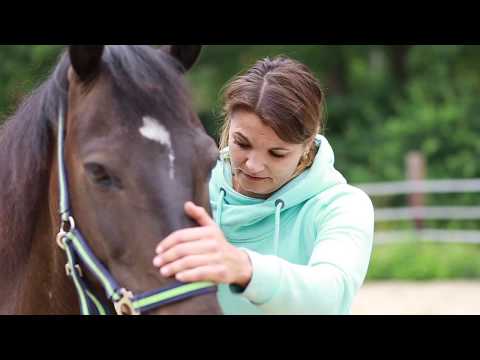 Sascha Teil 5 - ist Sascha reitbar? Die Osteopathin kommt.