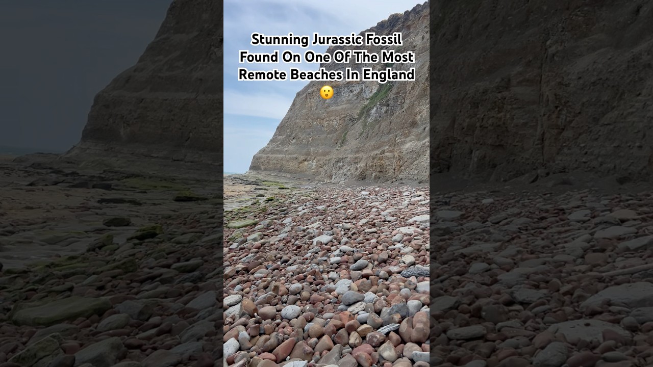 Fossil Hunting On One Of The Most Remote Beaches In Yorkshire, England 😮 #fossils #secretbeach