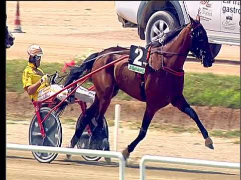 Trotto 16/06/2018 - 1ª corsa