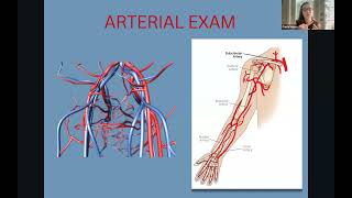 Vascular Imaging Webinar Series: Arteriovenous Mapping for Dialysis Access