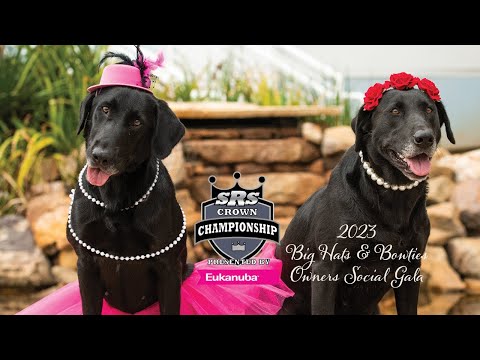 2023 SRS Crown Championship:  Big Hats & Bow Ties - Owner's Social Gala