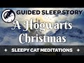 Christmas Eve at Hogwarts - A Guided Sleep Story Inspired by the World of Harry Potter