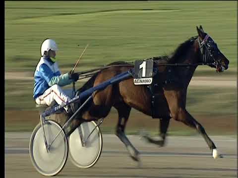 Trotto 02/03/2018 - 5ª corsa