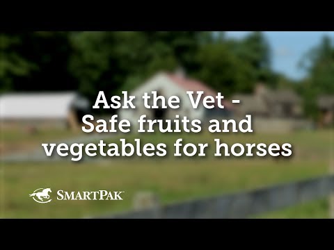 YouTube video about: How much paprika to give a horse?