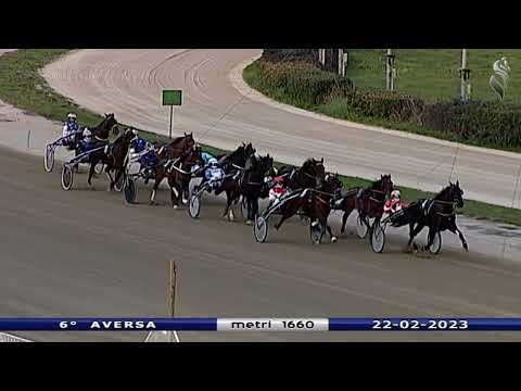 Aversa trotto 22 Febbraio 2023 - 6° Corsa