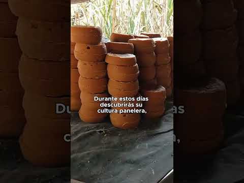 Yolombó, destino imperdible en Puente de Reyes | Terminales Medellín