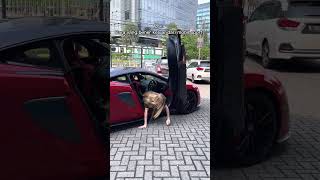 Download lagu CARA KELUAR YANG BENAR DARI SUPERCARS!! #PRESTIGESHORTS #shorts mp3