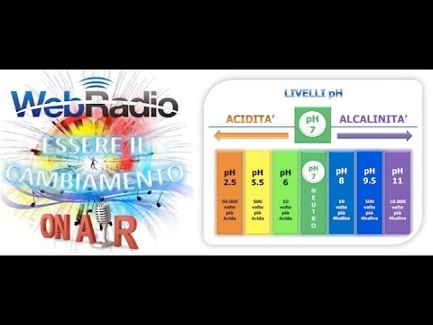Cura di alcolismo Ekaterinburg la prima famiglia Battiti del cuore ad alcolismo