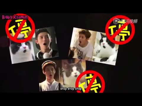 [ENG SUB] 141130 Luhan Back to 20 Theme Song {Our Tomorrow} Trailer