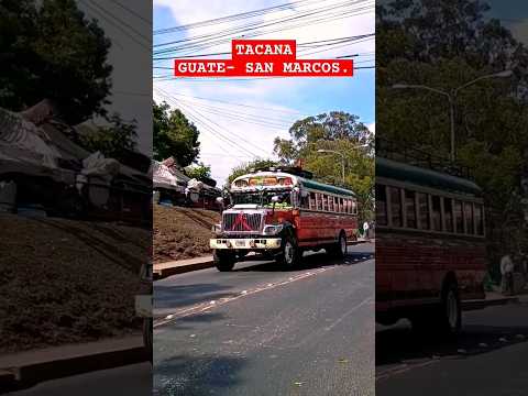 AUTOBUSES DE GUATEMALA #feedshorts #buses #carreteras #velocidad #guatemala #suscribete.