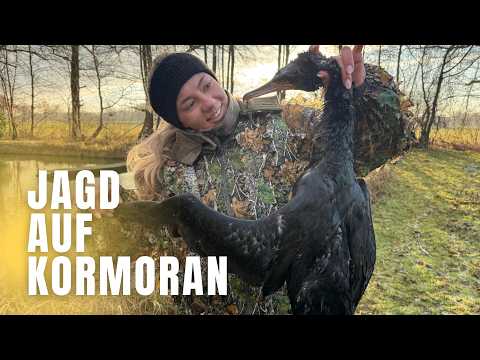Jagd auf eine streng geschützte Art?! Auf Kormoranjagd mit Lucy