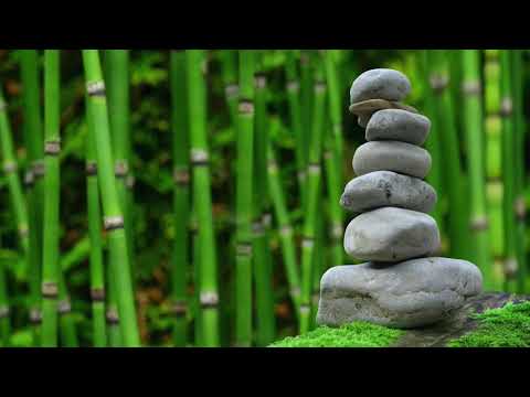 Equanimity Meditation