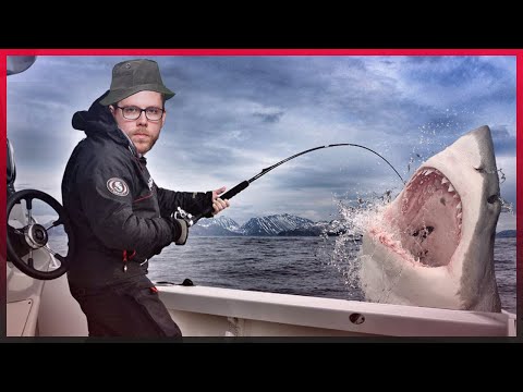 der BESTE FIZZ auf EUW [FlexQ]