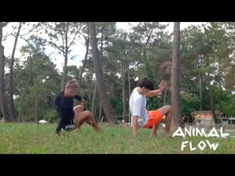 Animal Flow avec Romain Andriolo