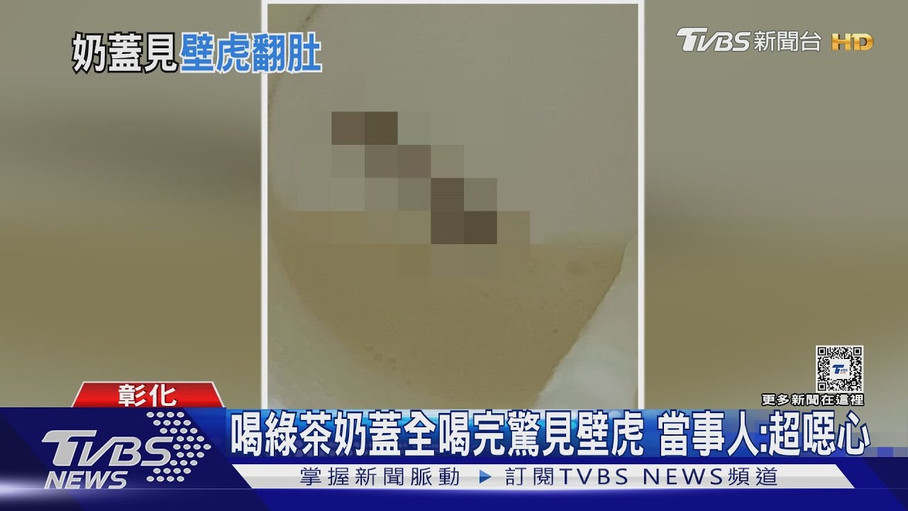喝綠茶奶蓋全喝完驚見壁虎 當事人:超噁心