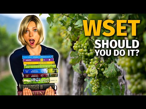 WSET Wine Education | + My Experience
