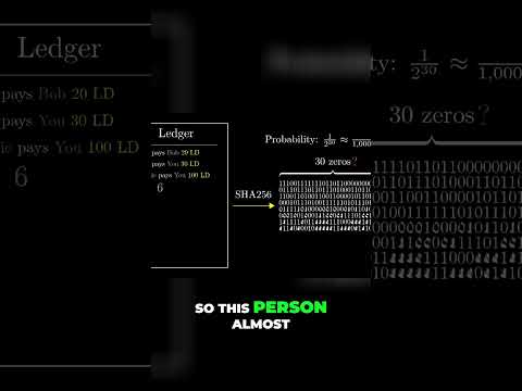 Unlocking SHA-256: The Hunt for the Special Number