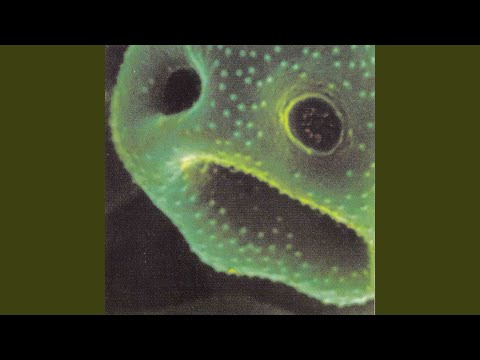 The Creeping Unknown