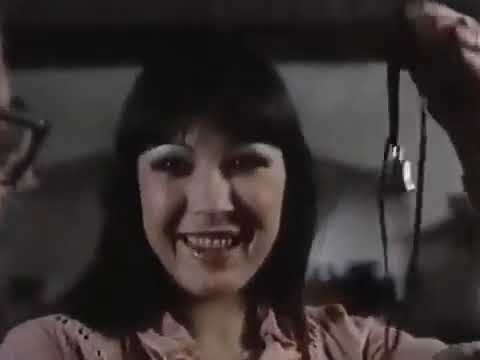 Die Besucher   Teil 15   Kleine Reparatur der Welt