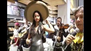 Video de Gran Mariachi Cantares de México