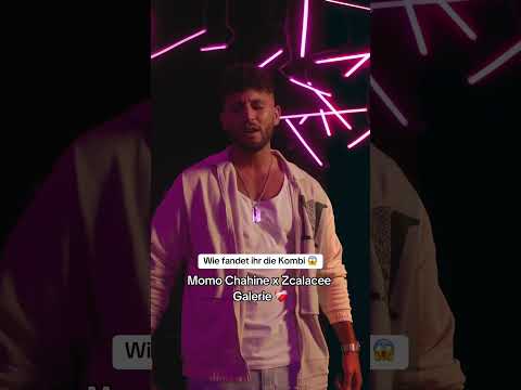 Galerie - Momo Chahine x Zcalacee