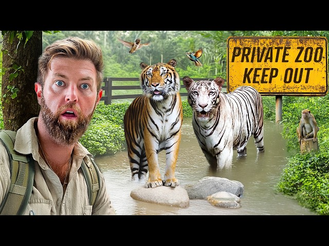 Private Tour of an Indian Billionaire’s Secret Wildlife Rescue Center SDDEFAULT Thumbnail