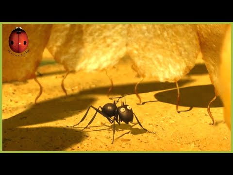 Patates Frites 🍟 Minuscule 🍃 Compilation 125'