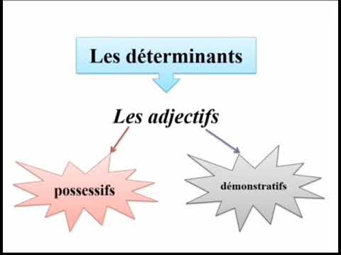 Les déterminants:adjectifs possessifs et démonstratifs