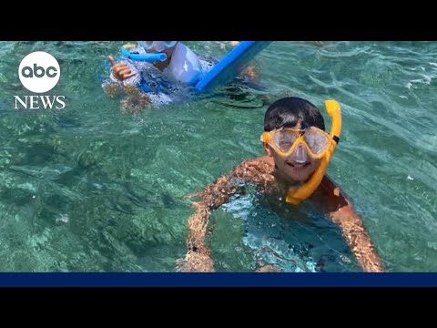 Video shows moment boy attacked by shark in Florida Keys