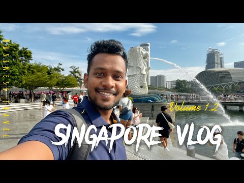 Singapore Vlog | Volume 1.2 | Exploring Singapore: Merlion Park & More!