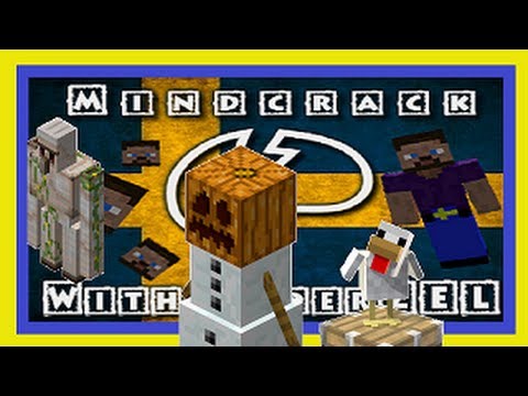 Parank Wars E05 Crazy Cat Lady Need Some New Friends