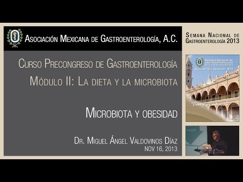 M2-Microbiota y obesidad