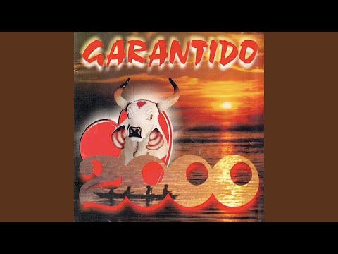 Romaria Nas Aguas - Boi Garantido