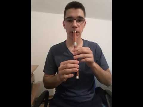 Srce je moje violina (Lepa Lukic) - Frula