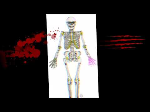 Apocalypse freestyle 