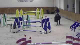 Video koně Contendro World